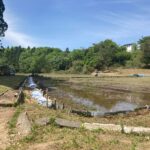 No.5　GWのある一日のこと