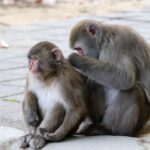 NO.18　また行きたい　日本のいいとこ５